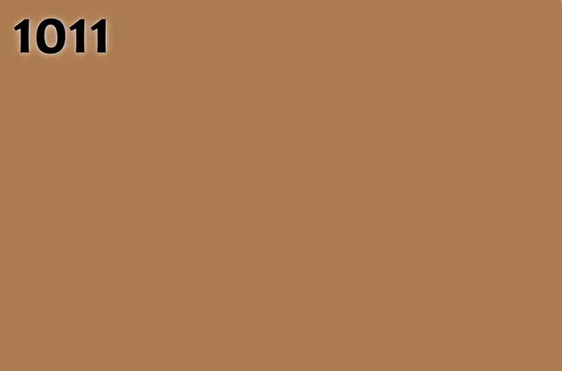 RAL 1011